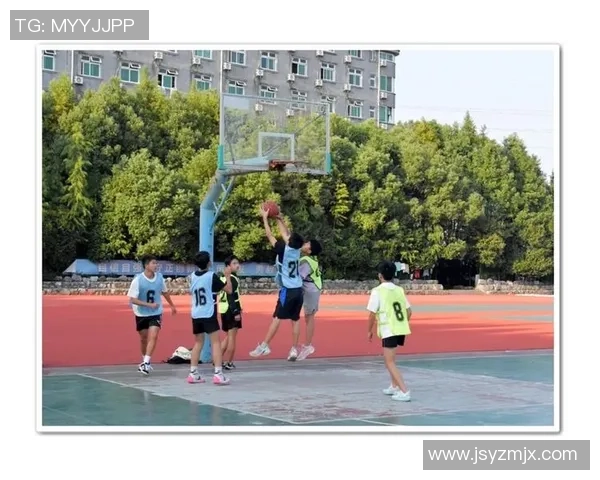 小人篮球梦：在球场上追逐梦想的勇气与坚持